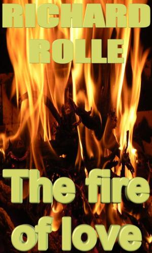 Cover of the book The fire of love by Julius Suubi