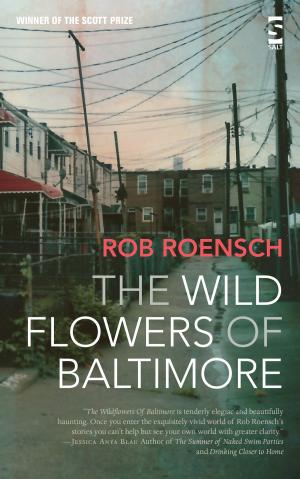 Cover of the book The Wildflowers of Baltimore by Alison Moore