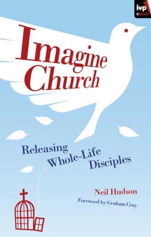 Cover of the book Imagine Church by Julian Hardyman