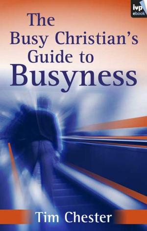 Book cover of The Busy Christian's Guide to Busyness