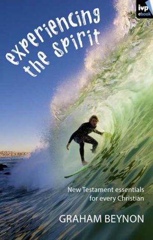 Cover of the book Experiencing the Spirit by Julian Hardyman