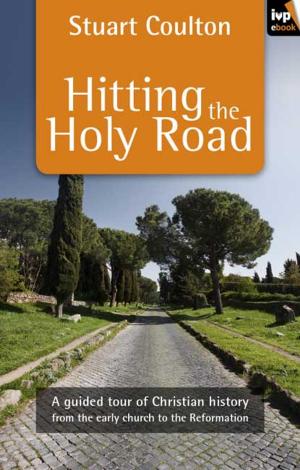 Cover of the book Hitting the Holy Road by Krish Kandiah