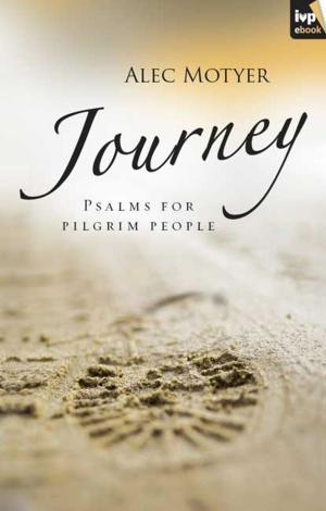 Cover of the book Journey by Michael Green