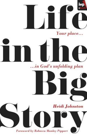 bigCover of the book Life in the Big Story by 