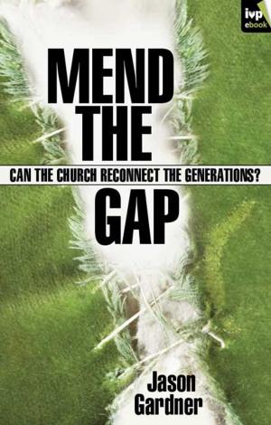 Book cover of Mend the gap