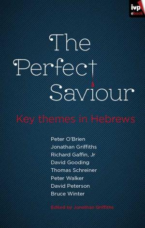 Cover of the book The Perfect Saviour by Jason Gardner, Rachel Gardner