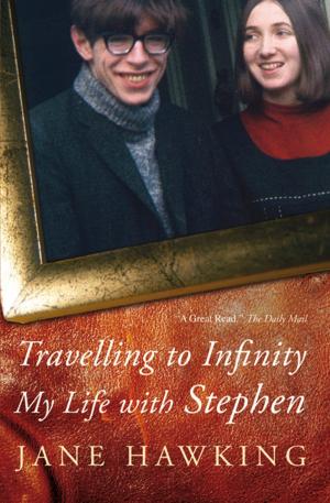 Cover of the book Travelling to Infinity by Voltaire