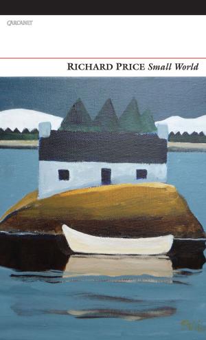 Cover of the book Small World by Gillian Clarke