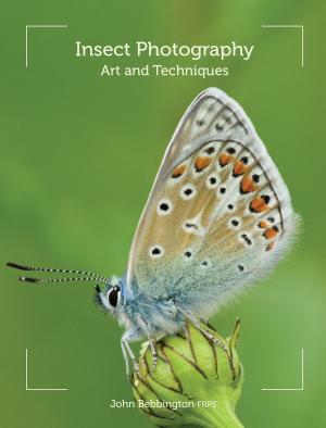Book cover of Insect Photography