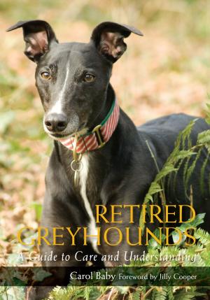 Cover of the book Retired Greyhounds by Erin Conn