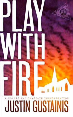 Book cover of Play With Fire