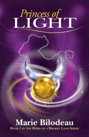 Book cover of Princess of Light