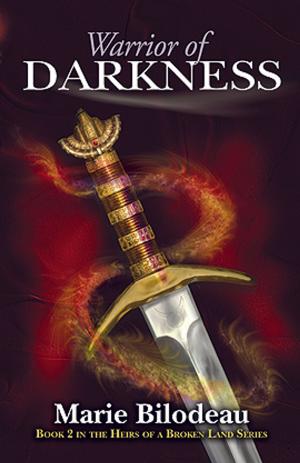 Cover of the book Warrior of Darkness by Lynda Williams