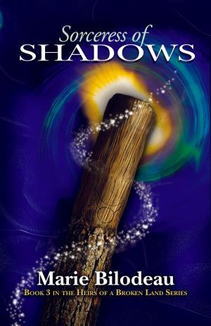 Cover of the book Sorceress of Shadows by Lynda Williams, Paula Johanson