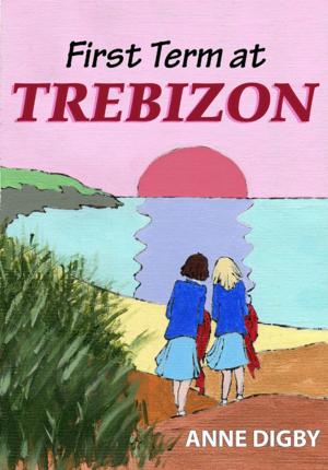 Cover of the book FIRST TERM AT TREBIZON by Alan  Davidson