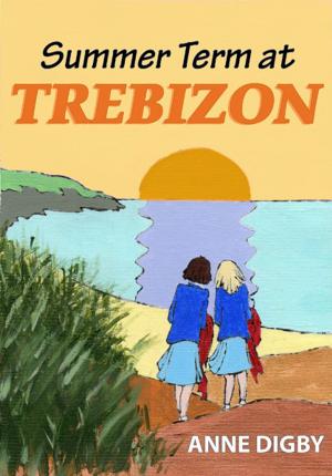 Cover of the book SUMMER TERM AT TREBIZON by Anne Digby