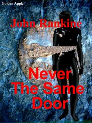 Cover of the book Never the Same Door by Rosalind Miles