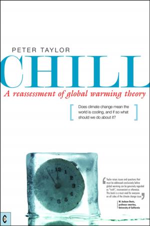 Cover of the book Chill, A Reassessment of Global Warming Theory by Yeshayahu Ben-Aharon