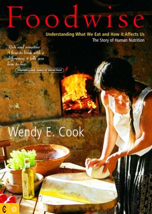 Cover of the book Foodwise by Sivan Karnieli