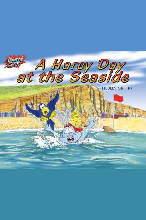 Cover of the book A Harey Day at the Seaside by Anita Loughrey