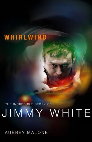 Cover of the book Whirlwind by Simon Lowe