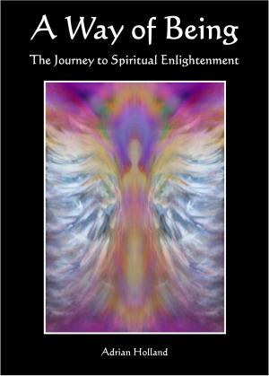 Cover of the book A Way of Being: The Journey to Spiritual Enlightenment by Mark Edward Reed