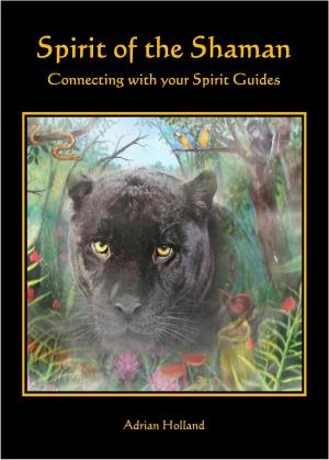 Cover of the book Spirit of the Shaman: Connecting with your Spirit Guides by Adrian Holland