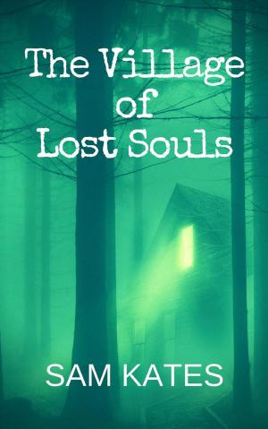 Book cover of The Village of Lost Souls