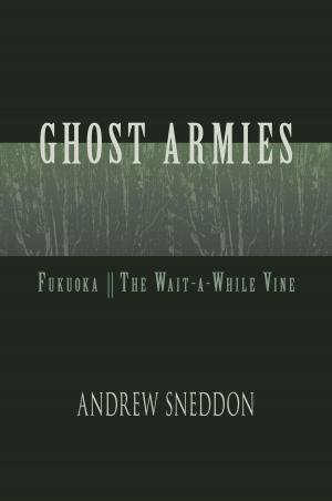 Book cover of Ghost Armies