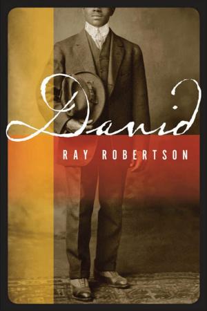 Cover of the book David by Ray Robertson