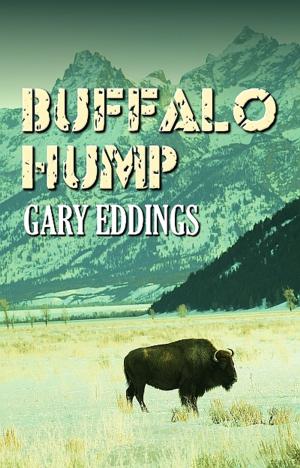 Cover of the book Buffalo Hump by John Paulits