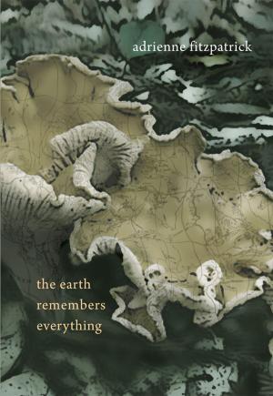 Cover of the book The Earth Remembers Everything by Nikki van Schyndel
