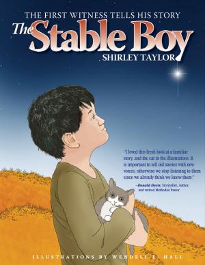 bigCover of the book The Stable Boy by 