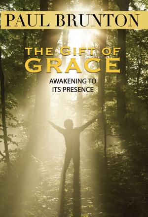 Cover of the book The Gift of Grace by Mari L. McCarthy