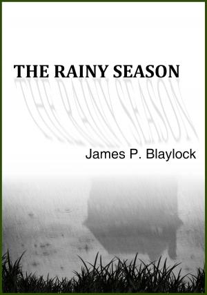 Book cover of The Rainy Season