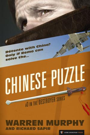 Book cover of Chinese Puzzle