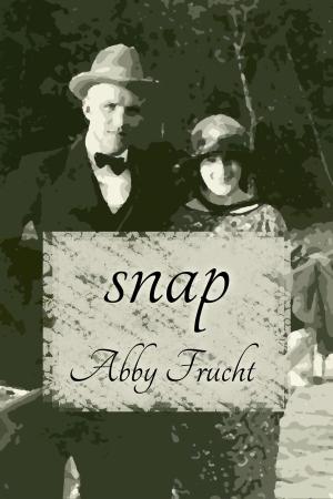 Cover of the book Snap by Emily Geminder
