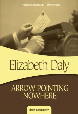 Book cover of Arrow Pointing Nowhere