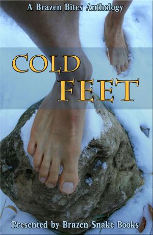 Cover of the book Cold Feet by Jamie DeBree