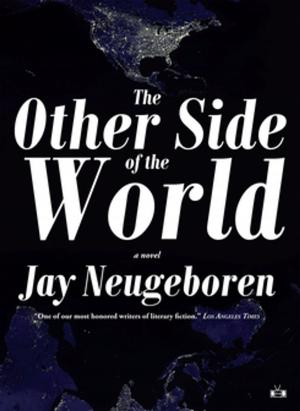 Cover of the book The Other Side of the World by D. Foy