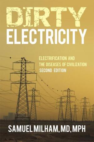 Cover of the book Dirty Electricity by K. R. Finnegan