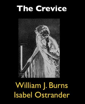 Cover of The Crevice