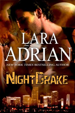 Cover of the book NightDrake by D. D. Riessen