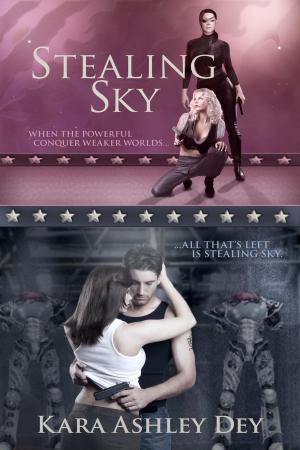 Cover of the book Stealing Sky by Glenn L Erickson