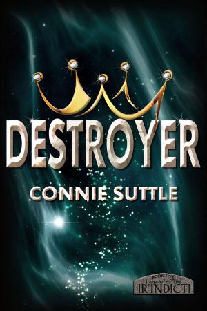 Cover of the book Destroyer by M J Porter