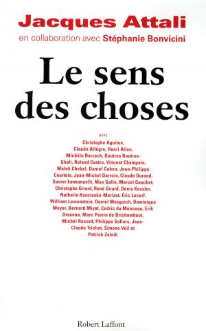 Cover of the book Le sens des choses by Gilbert BORDES