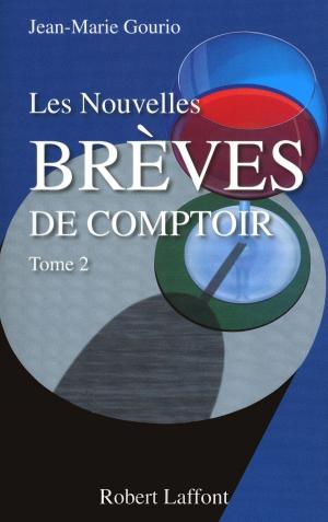 Cover of the book Les Nouvelles brèves de comptoir - Tome 2 by Olivier WEBER