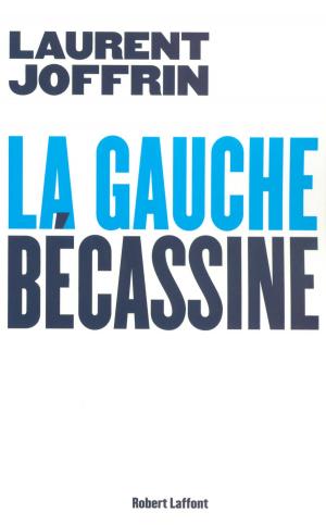 Cover of the book La gauche bécassine by Kass MORGAN