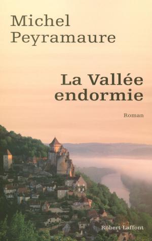 Cover of the book La vallée endormie by AUGUSTIN