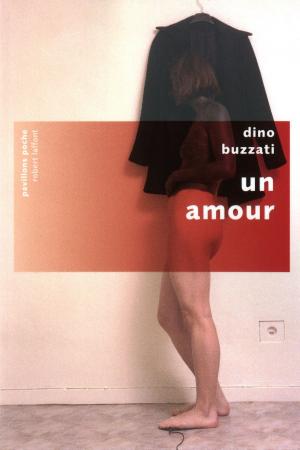 Cover of the book Un amour by Fouad LAROUI